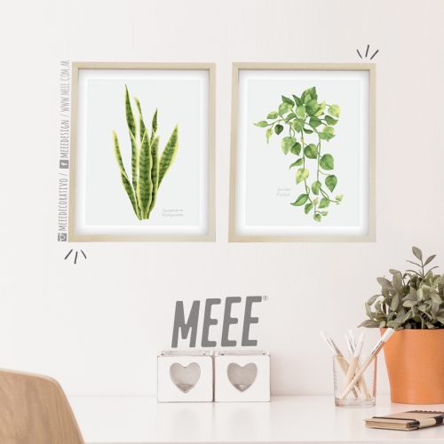 Combo Cuadros Plantas. Meee Decorativo